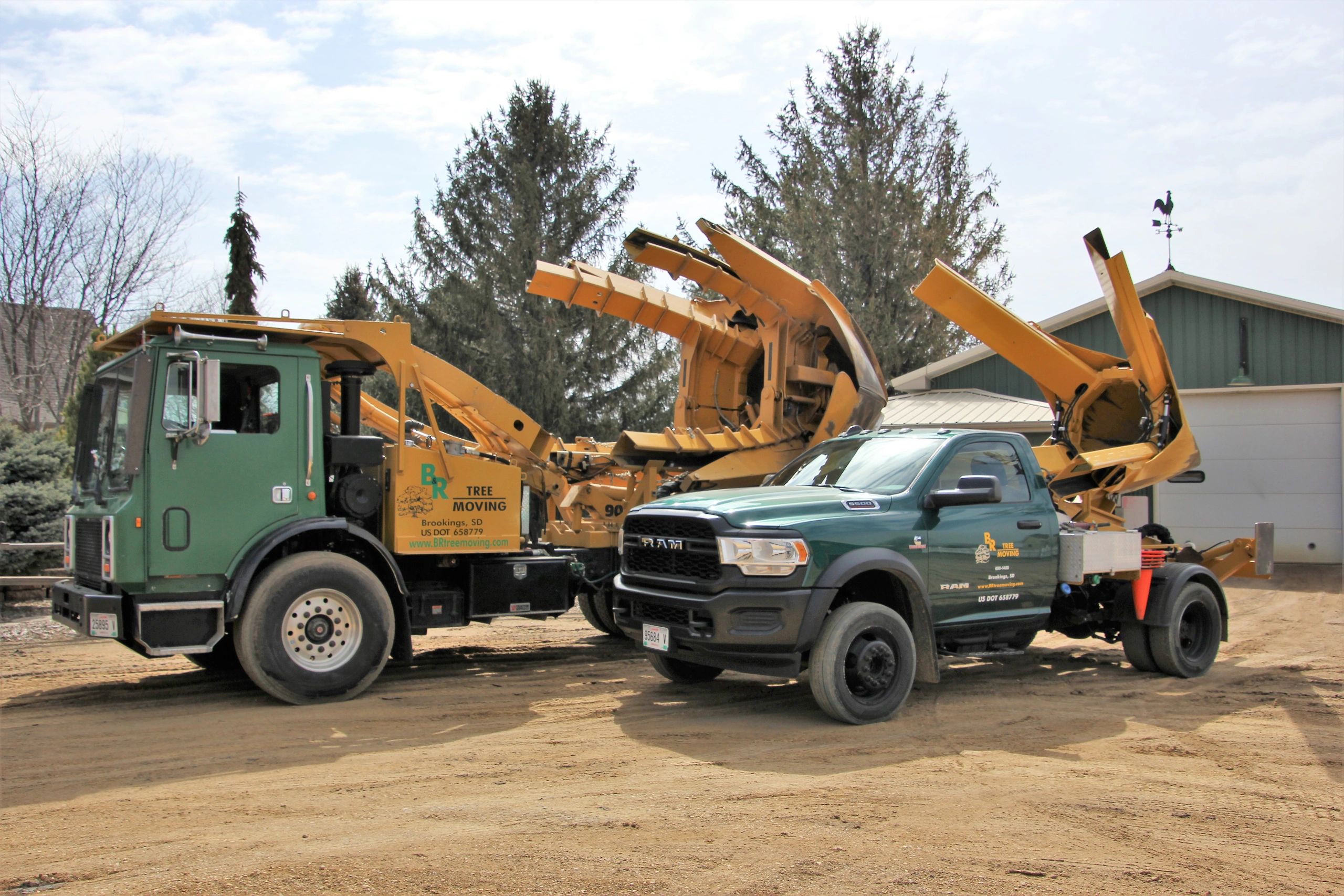 B & R Tree Moving Tree Moving, Tree Sales